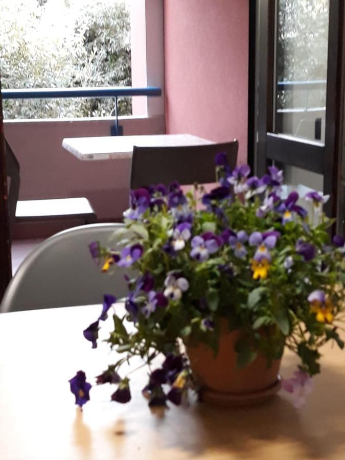 Il Ciclamino Appartement Monopoli Buitenkant foto