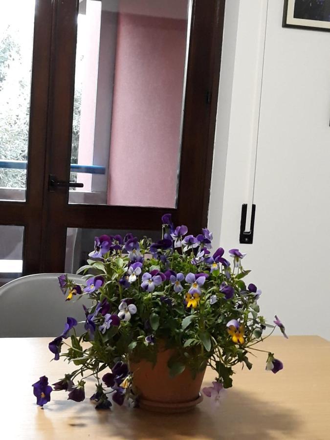 Il Ciclamino Appartement Monopoli Buitenkant foto
